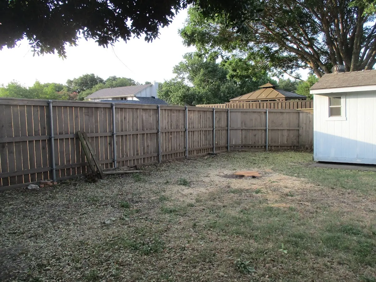 Cleared yard after professional tree removal in Oak Island
